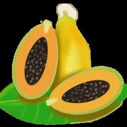 吃瓜视频素材下载免费观看,免费下载吃瓜视频,畅享无界限的娱乐时光 第3张 吃瓜视频素材下载免费观看,免费下载吃瓜视频,畅享无界限的娱乐时光 第3张